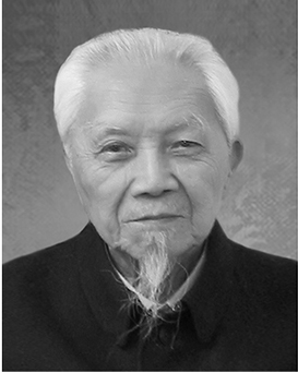 Chen Xinnong